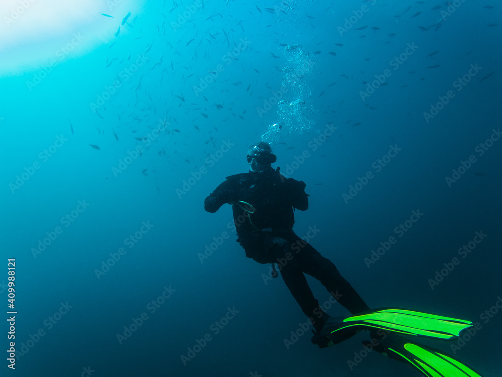 Unrecognizable diver studying depth of ocean and vegetation at bottom Unrecognizable diver studying depth of ocean and vegetation at bottom