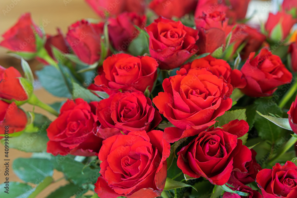 red rose flowers red rose flowers