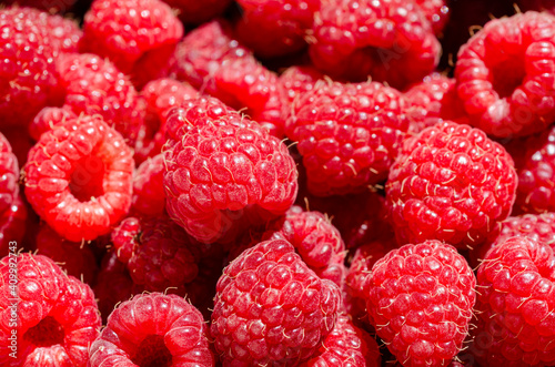 Big appetizing red raspberry berries close up