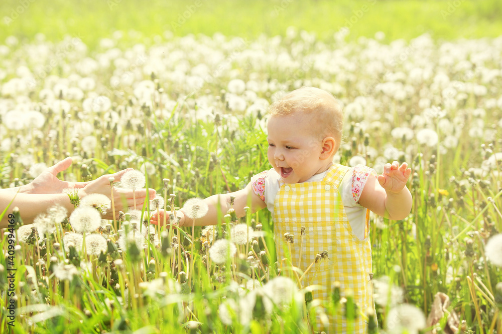 little girl on a walk in a field with dandelions, sunny summer day little girl on a walk in a field with dandelions, sunny summer day
