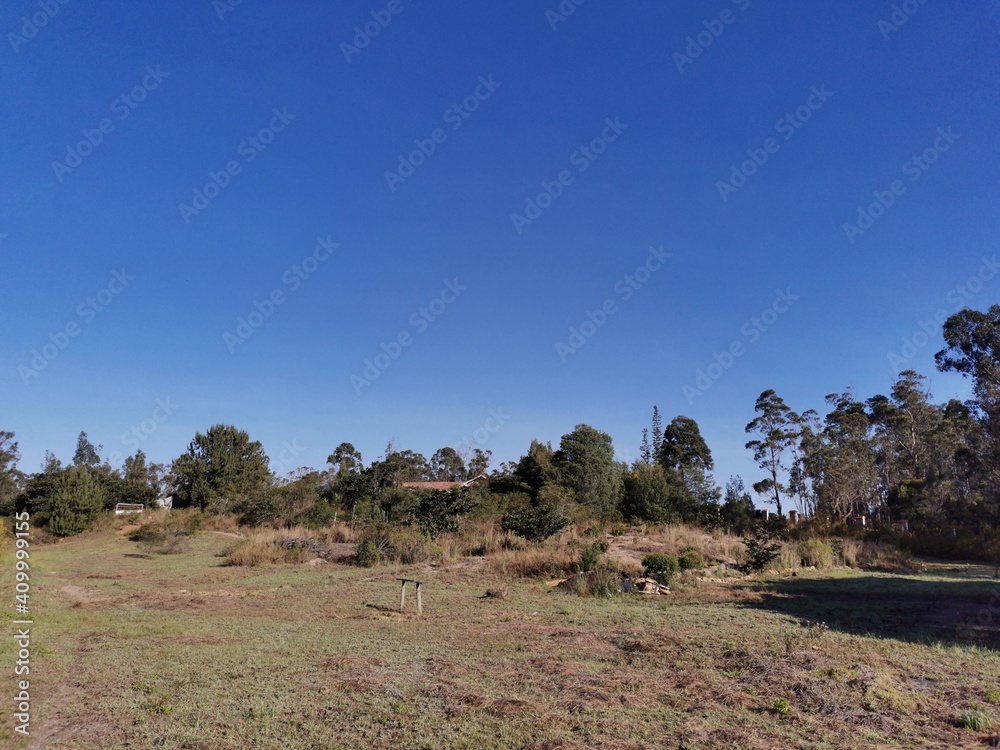 Obraz premium Blue Skies