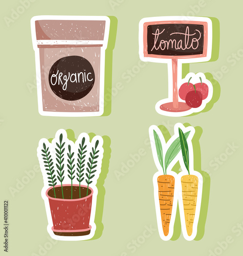 gardening pack organic potted plant carrots and tomatos