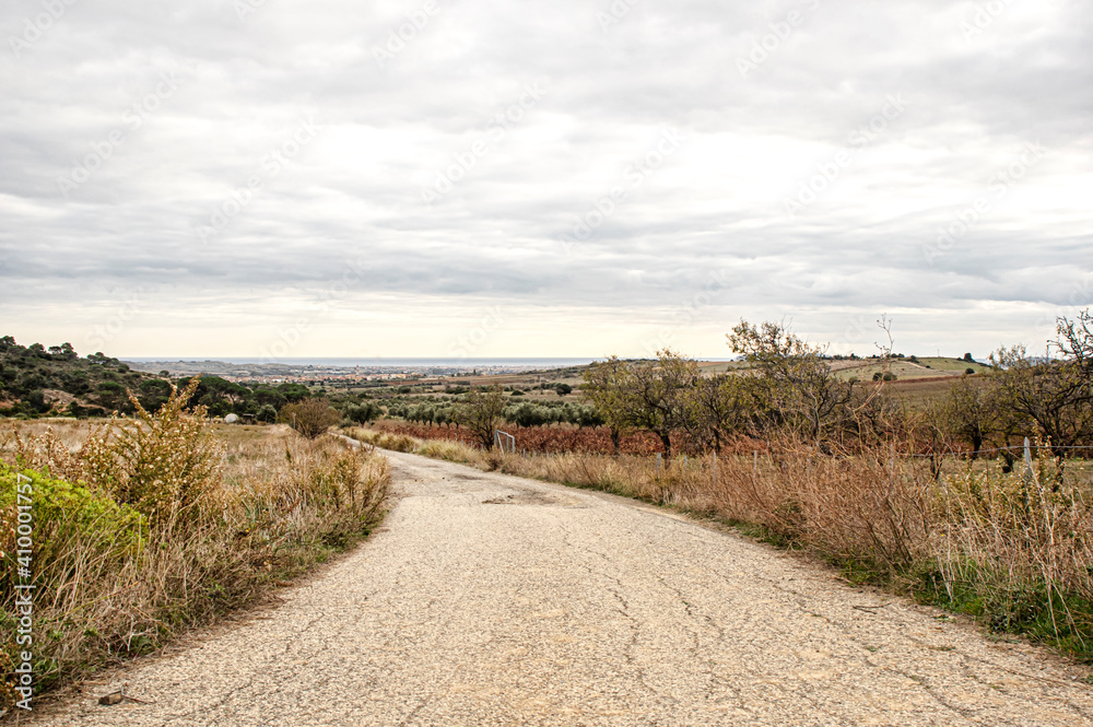 Photograph of Pasaggio della Campagna della Sardegna, with Trees and Spontaneous Vegetation, Country Road and Railway in a Rural Scenario, Panoramic View Photograph of Pasaggio della Campagna della Sardegna, with Trees and Spontaneous Vegetation, Country Road and Railway in a Rural Scenario, Panoramic View