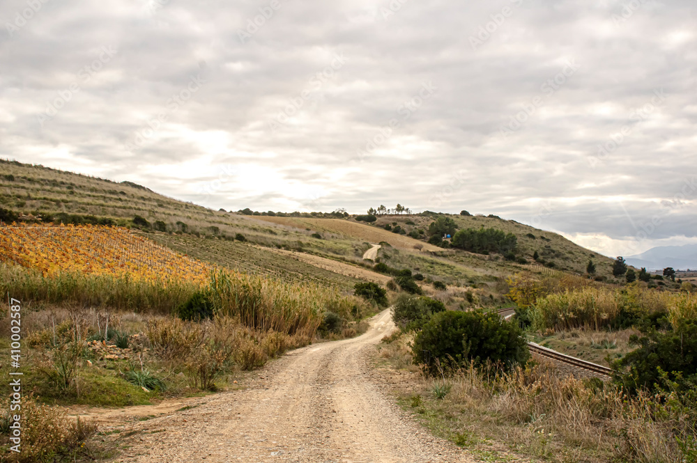 Photograph of Pasaggio della Campagna della Sardegna, with Trees and Spontaneous Vegetation, Country Road and Railway in a Rural Scenario, Panoramic View