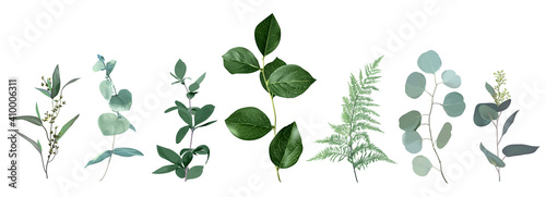 Mix of herbs and plants vector big collection