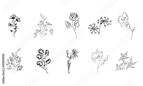 10 hand-drawn blossom wildflowers. Big collection of 10 hand-drawn roses. Big floral botanical set. Isolated on white background. Doodle simple vector collection.