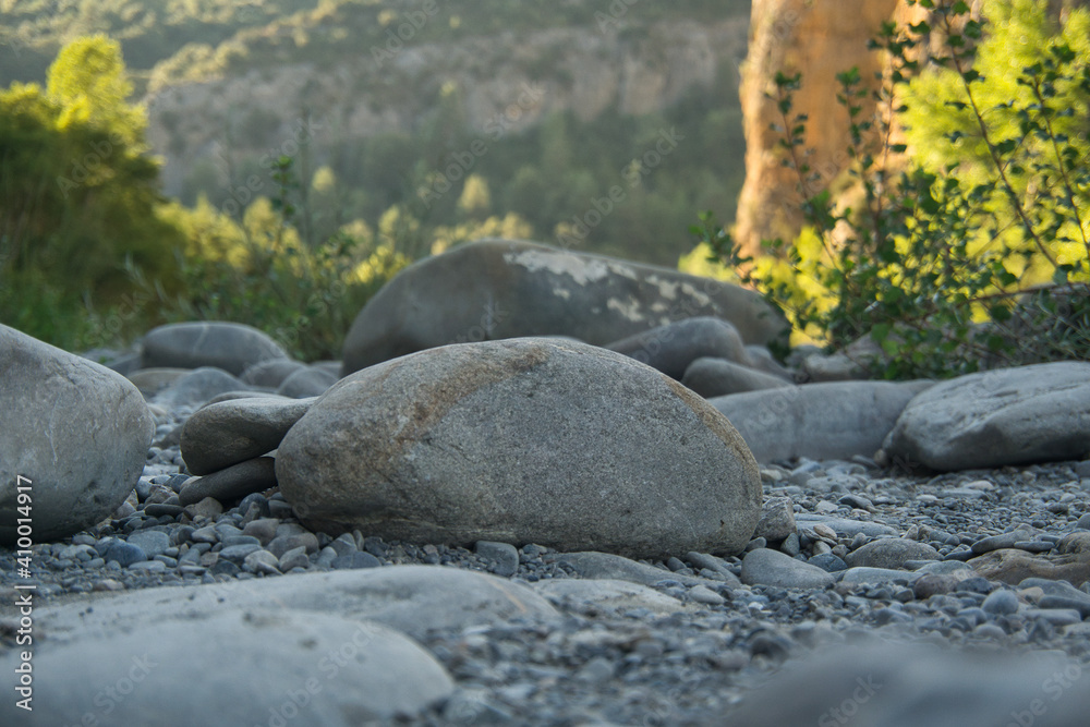 Obraz premium on the banks of the river Ara, located in Huesca, Spain.