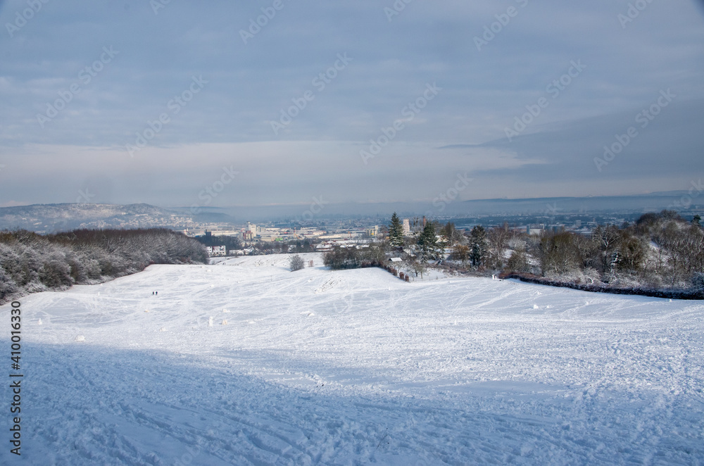 Winter landscape on a sunny day after first snowfall with trees in the background