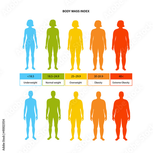 Body mass index photo