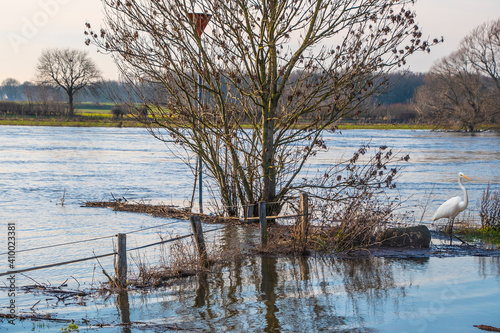 Landscape with flooded river Maas in Bergen - Noord Limburg, the Netherlands photo