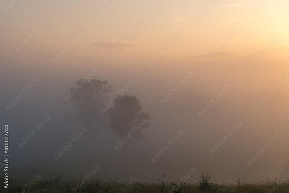 Sunrise in the country with thick early morning mist