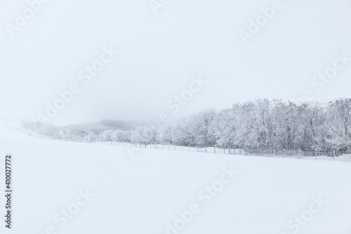Foggy winter scenery with snowy fields  © russieseo
