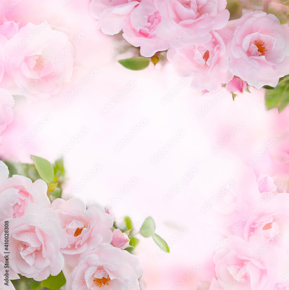 Pale pink roses with buds on blurred background. Greeting card for wedding or Valentine Day. Floral background. Pale pink roses with buds on blurred background. Greeting card for wedding or Valentine Day. Floral background.