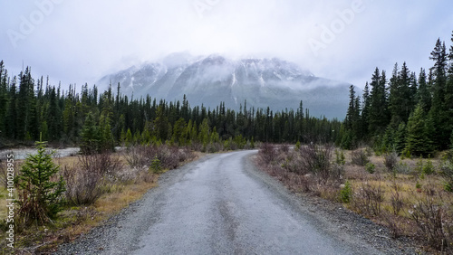 Foggy mountain landscape, Alberta, Canada
