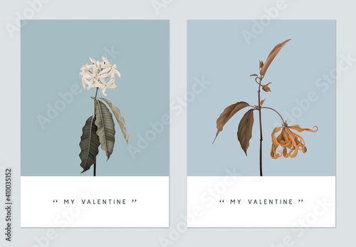 Minimalist botanical valentine greeting card template design, Medicinal Kopsia and Cananga odorata