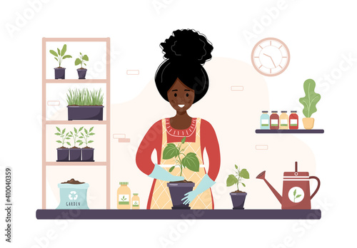 Planting at home. Cartoon african woman replanting seedling in orangery. Gardening hobby. Vector illustration in flat style. Domestic plants nursery and care concept.