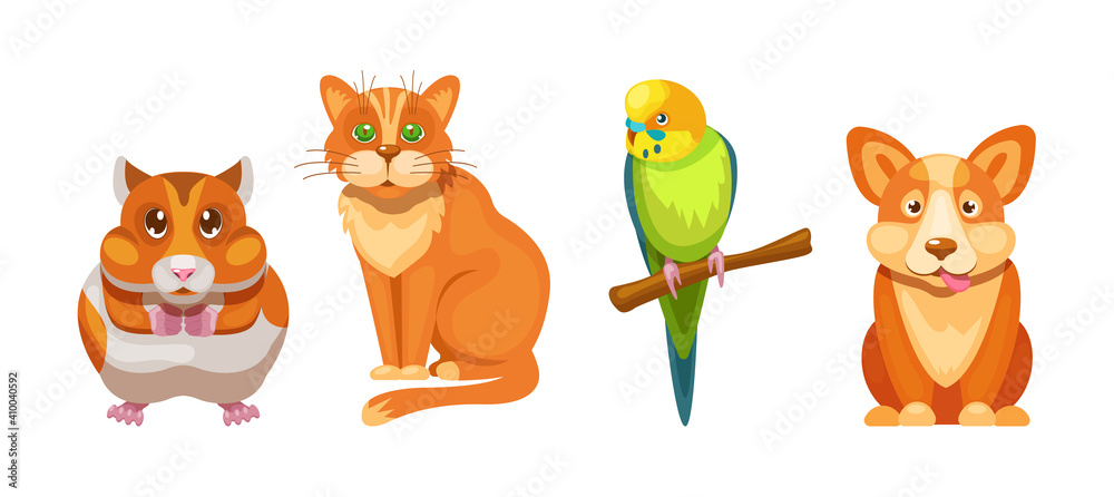 Obraz premium Funny pet shop parrot, hamster, cat, dog cartoon vector. Cute human friends home animals