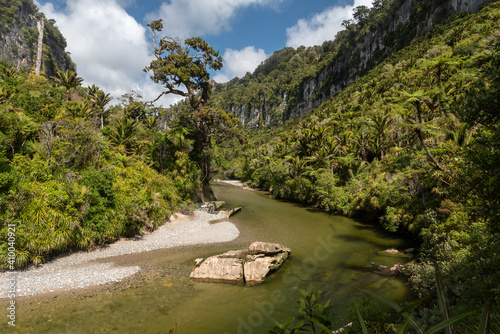 Steep limestone cliffs and dense forest surrounding the Pororari River, Paparoa National Park, New Zealand. 