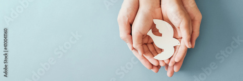 Fotografering Adult and child hands holding white dove bird on blue background, international