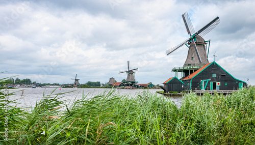 dutch windmills in the country