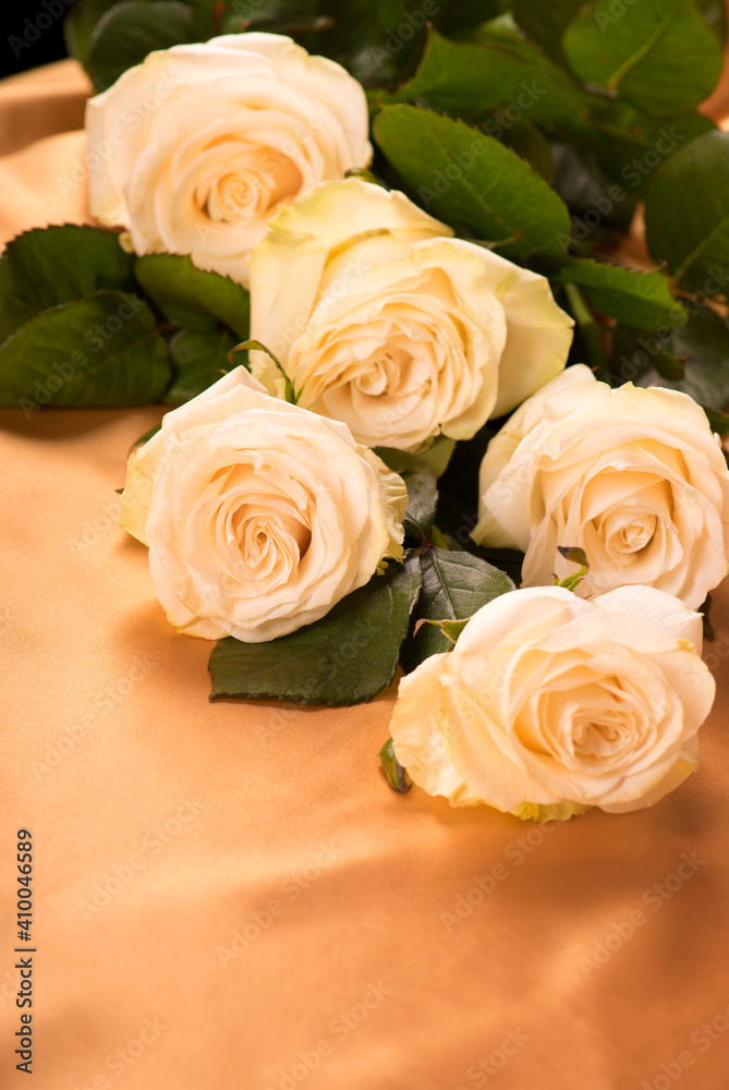 white roses on golden silk background close up white roses on golden silk background close up
