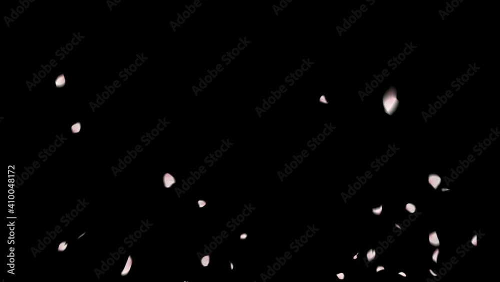 Cherry Blossom Explosion. This work is explosion of petals cherry blossom with alpha channel you can place on footage or background and easier to change color.