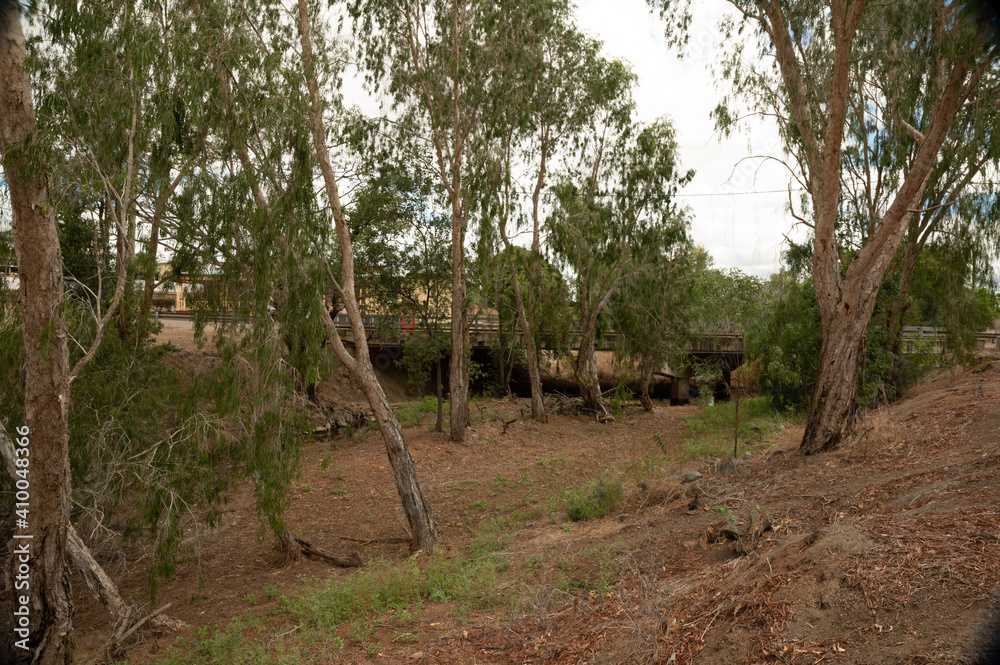 Dry Creek Bed