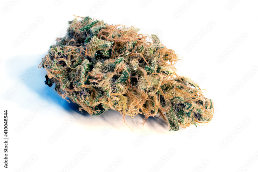 Sativa Dominant Marijuana flower bud, Golden Goat cross cannabis flower bud Sativa Dominant Marijuana flower bud, Golden Goat cross cannabis flower bud