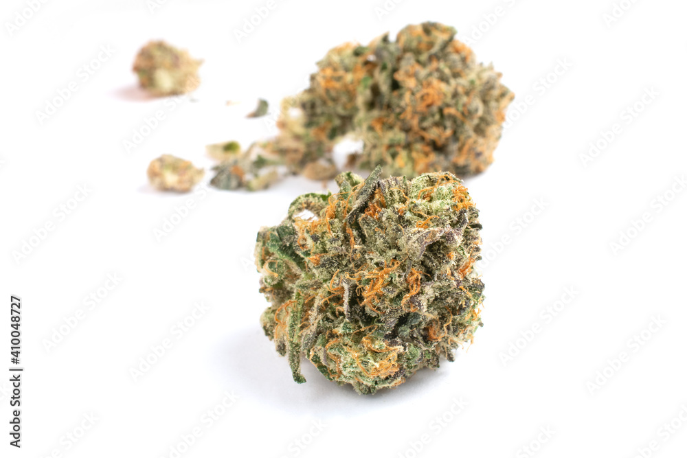 Sunshine Lime marijuana flower buds, narrow depth of field draws eye to foreground bud, another, broken up nug is soft in background.
Sativa dominant Sherbet and Lemon Lime cross.