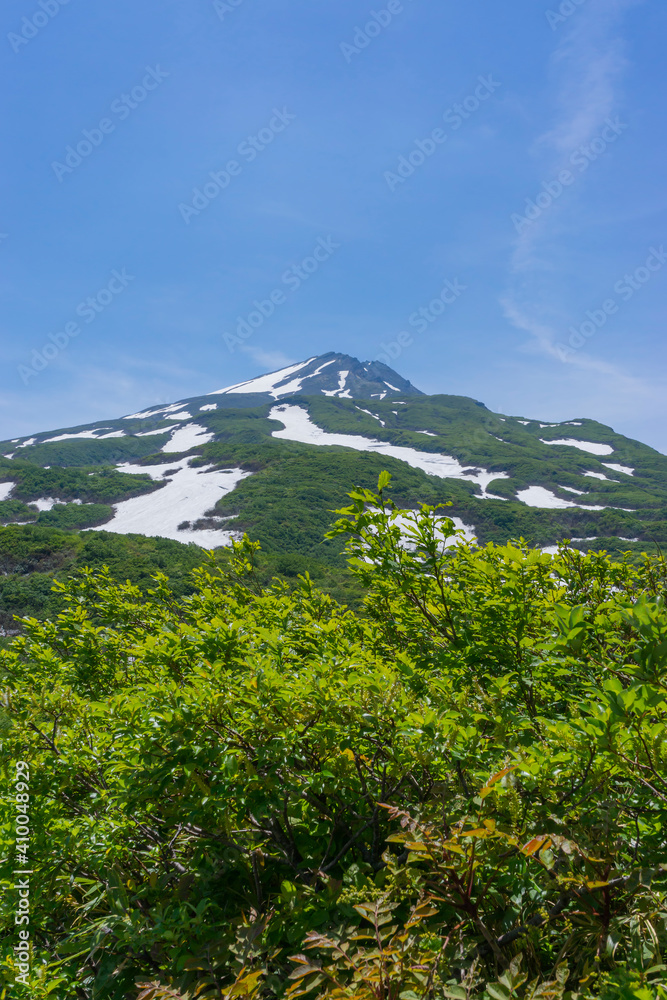 Obraz premium 初夏の残雪の鳥海山を望む