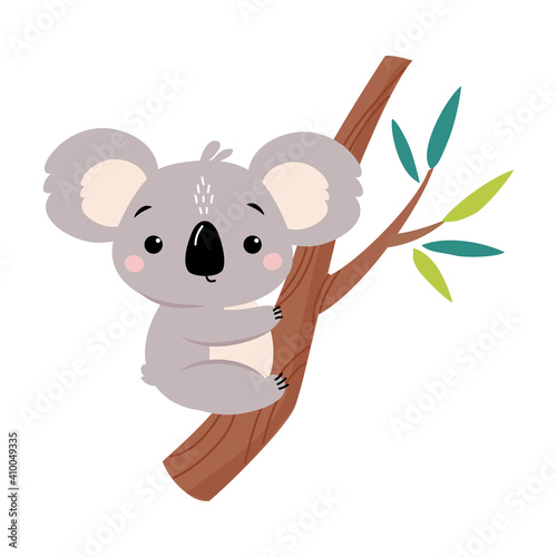 Photography Adorable Koala Sitting on Eucalyptus Tree, Lovely Australian Animal Cartoon Char