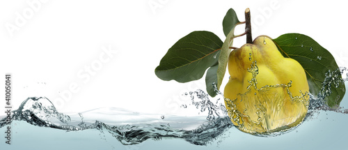 Juicy quince fruit in a spray of water.
