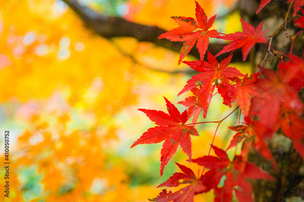 南会津 塔のへつりの秋模様 Stock Photo | Adobe Stock