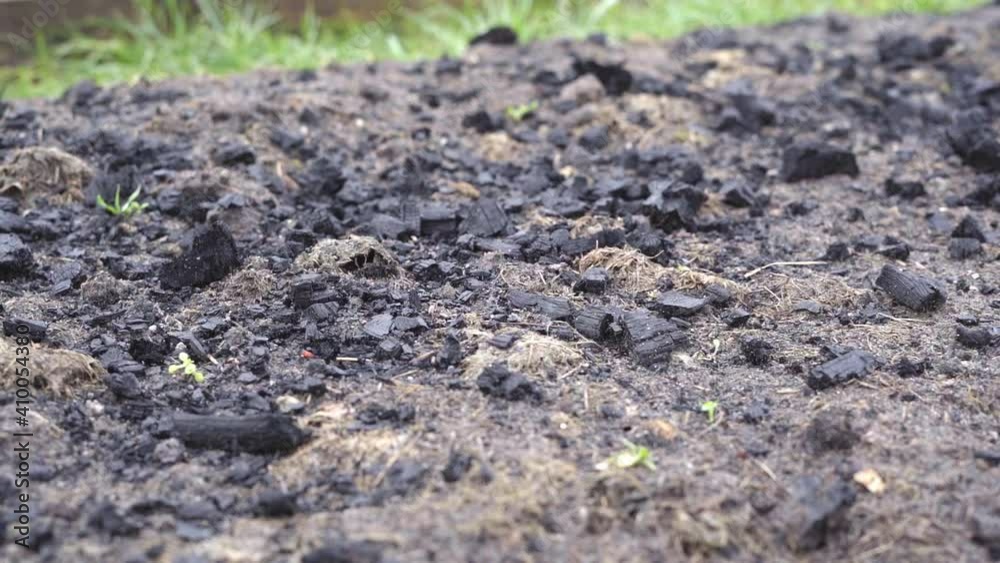 The garden bed is sprinkled with black coal to fertilize the soil The garden bed is sprinkled with black coal to fertilize the soil