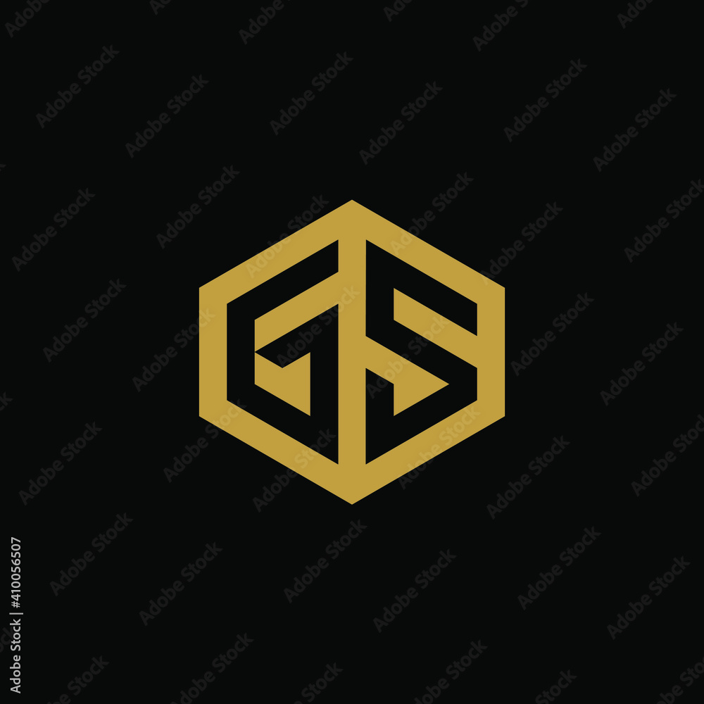 Initial letter GS hexagon logo design vector Initial letter GS hexagon logo design vector