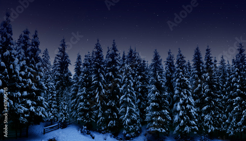 Night landscape, tall spruce trees covered with snow in the night forest and starry cloudless sky