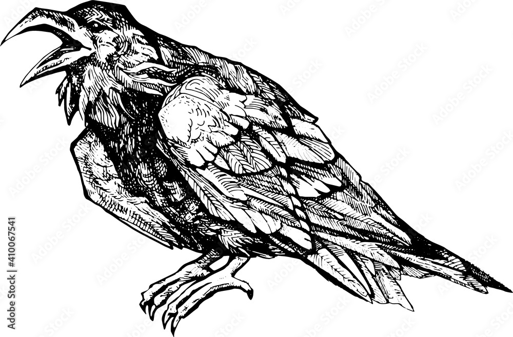 Obraz premium vector realistic ravens line art doodle. Crow sketch element for design, print, notebook. Hand drawn animal collection. isolated graphic white background. set birds hand drawn ink pen illustration