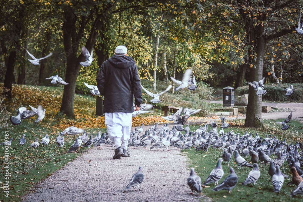 Fototapeta premium The old Muslim man is walking into the pigeons group, Moses Gate Country Park, Bolton, England.