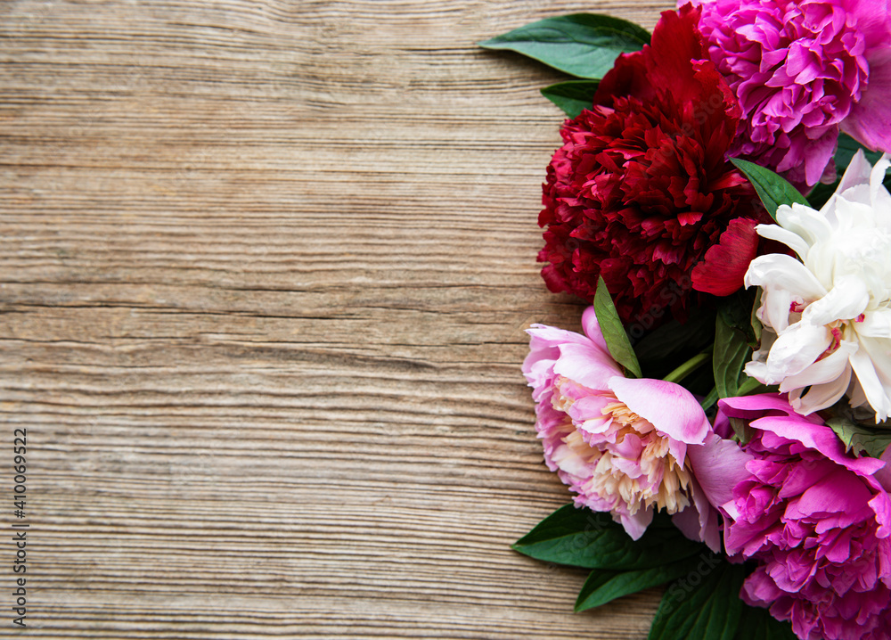 Pink peony flowers as a border Pink peony flowers as a border
