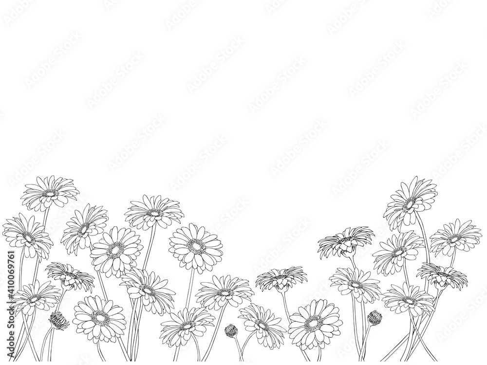 ガーベラの背景 線画 黒 Stock ベクター Adobe Stock
