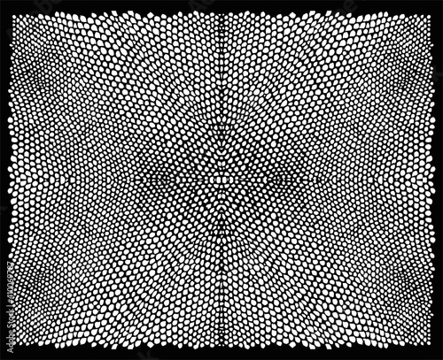 Reptile skin. Animal print background.