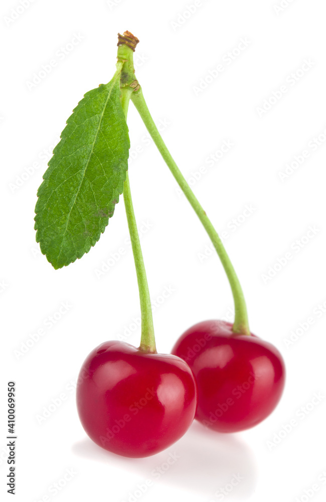 Red juicy cherries isolated on white background/