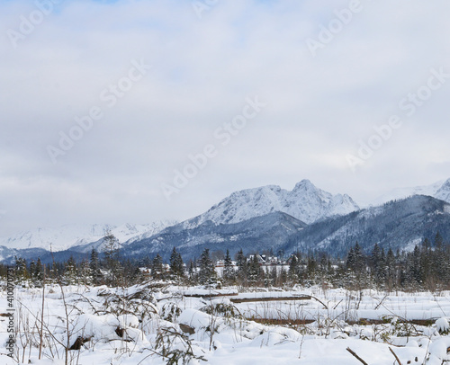 Mountain landscape in winter, fields and trees covered with snow.