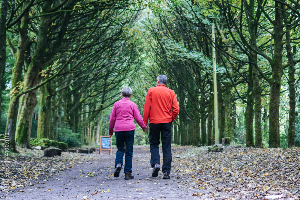 Fototapeta premium Beautiful older couple holding hand each other and walking in the park.