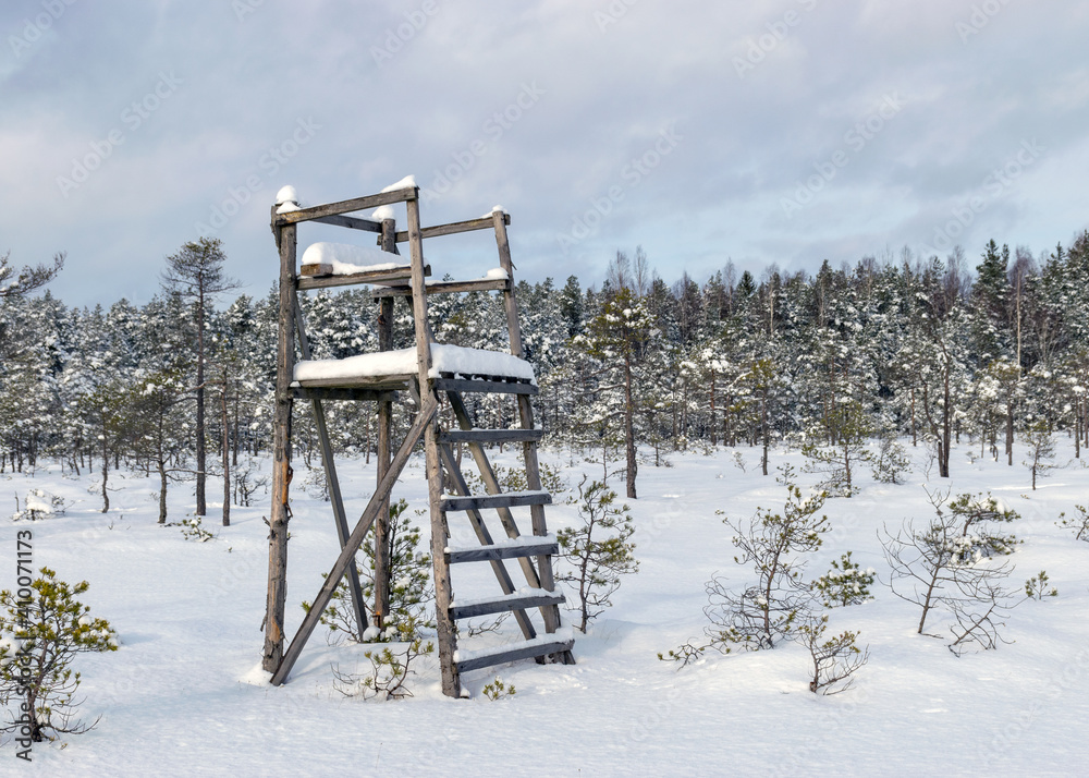 Snowy bog forest after a blizzard, amazing winter wonderland, cold weather and perfect snow conditions, snowy hunting tower in the bog, powdery snow covers the bog Snowy bog forest after a blizzard, amazing winter wonderland, cold weather and perfect snow conditions, snowy hunting tower in the bog, powdery snow covers the bog