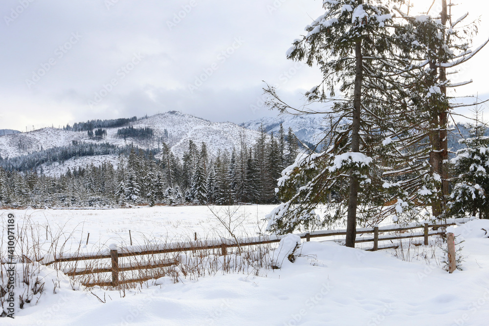 Mountain landscape in winter, fields and trees covered with snow. Mountain landscape in winter, fields and trees covered with snow.