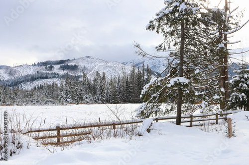 Mountain landscape in winter, fields and trees covered with snow. © agneskantaruk