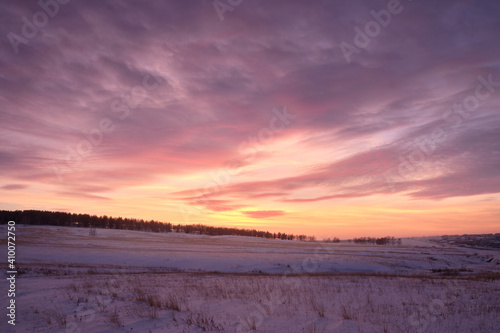 Pink winter sunset above the forest