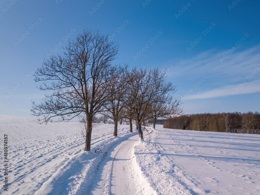 Winter landscape with rural road on a sunny frosty day. Czech Republic, Vysocina Highland region, Europe Winter landscape with rural road on a sunny frosty day. Czech Republic, Vysocina Highland region, Europe