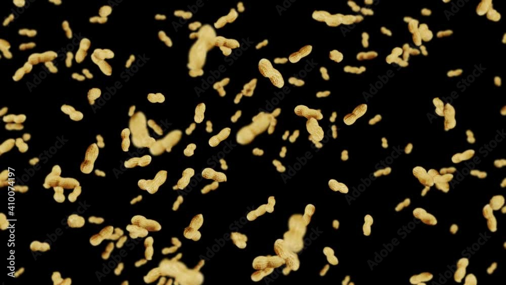 Flying many peanuts on black background. Raw peanuts. Groundnuts in shells. Healthy organic food. 3D loop animation of seed rotating. Flying many peanuts on black background. Raw peanuts. Groundnuts in shells. Healthy organic food. 3D loop animation of seed rotating.